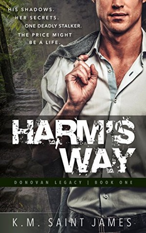 Harm's Way (Donovan Legacy Book 1)
